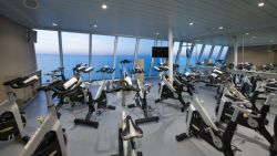 Anthem of the Seas - Spinclass