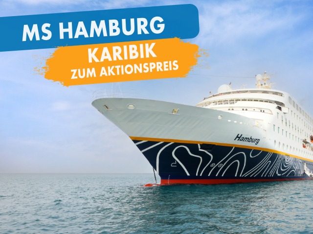 MS Hamburg Aktionspreis